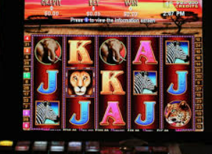 南宫app电脑免费版